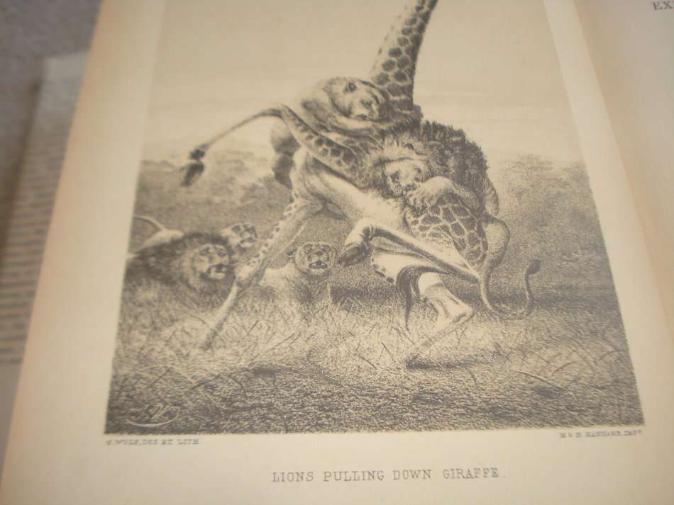 ONE OF THE MORE SCARCE AFRICANA STRUIK SERIES LIMITED EDITION 693/750 !!!