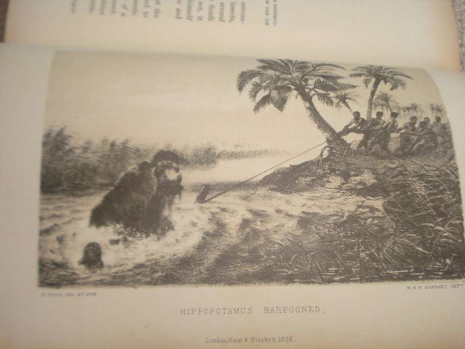 ONE OF THE MORE SCARCE AFRICANA STRUIK SERIES LIMITED EDITION 693/750 !!!