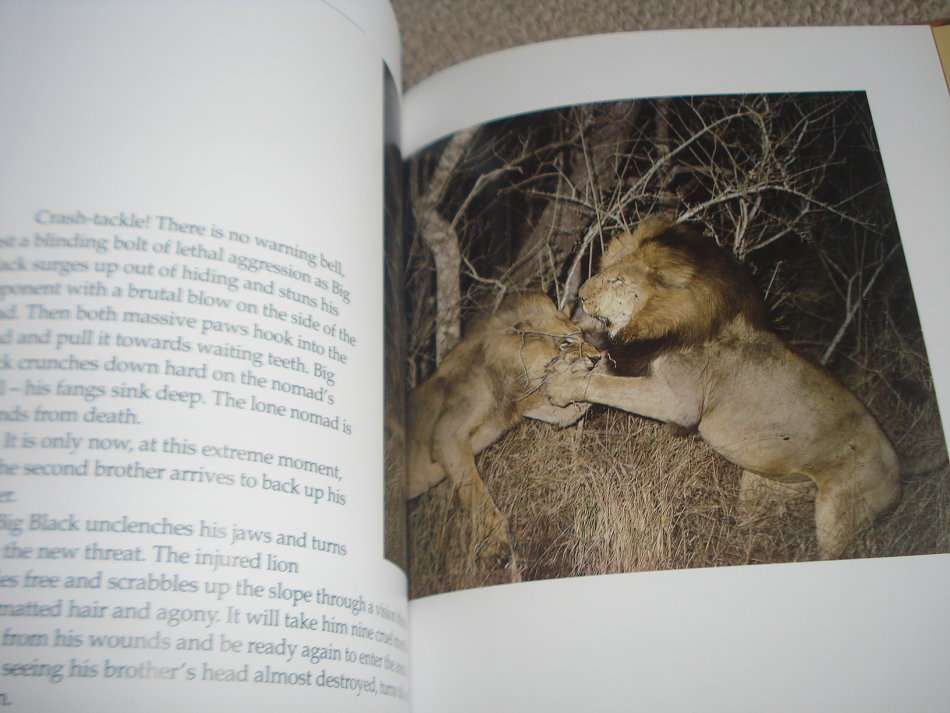 SUPERB COFFEE TABLE BOOK " THE POWER OF THE PRIDE " SIGNED COPY