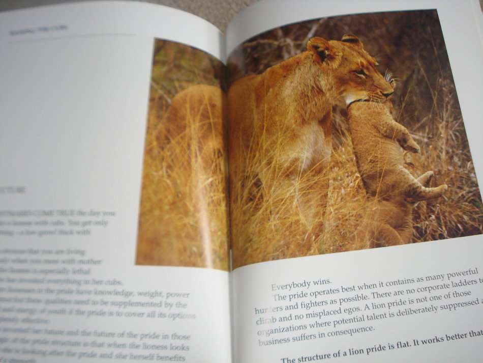 SUPERB COFFEE TABLE BOOK " THE POWER OF THE PRIDE " SIGNED COPY