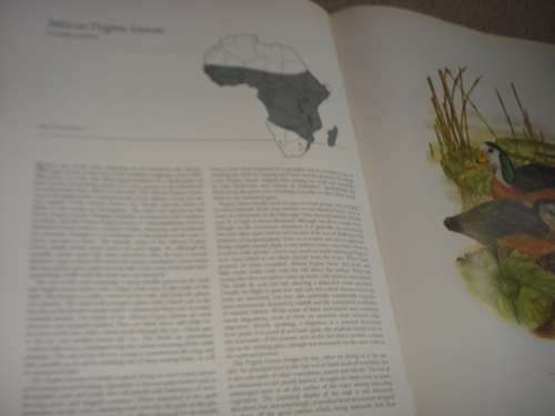 A BEAUTIFUL LIMITED EDITION HUGE COFFEE TABLE BOOK " DUCKS " A WONDERFUL GIFT !!!!