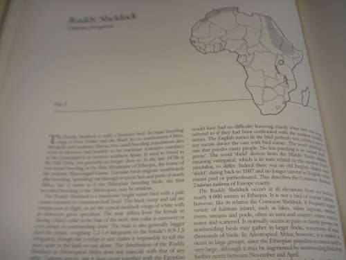 A BEAUTIFUL LIMITED EDITION HUGE COFFEE TABLE BOOK " DUCKS " A WONDERFUL GIFT !!!!