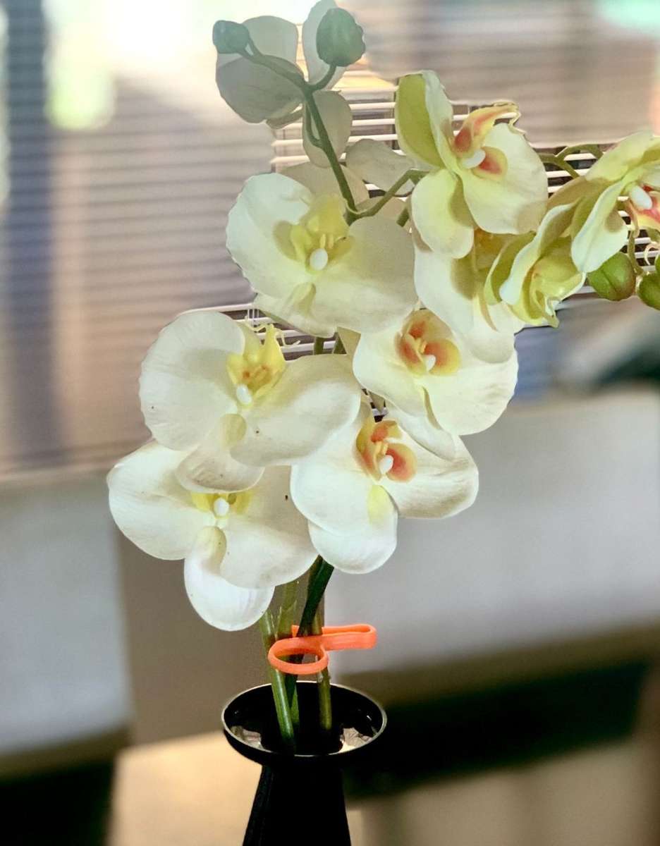 RECYCLED PLASTIC      PELI PEG    NO MORE CLOTHES STAINS-MANY MANY USES -SEE DETAILS BELOW