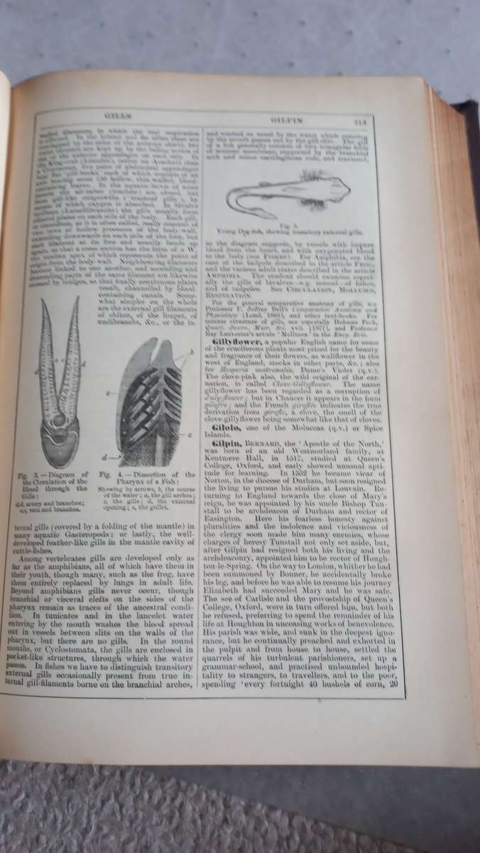 A VERY OLD AND SCARCE ENCYCLOPEDIA VOL V FRID-HUMA-VERY WELL WRITTEN UP