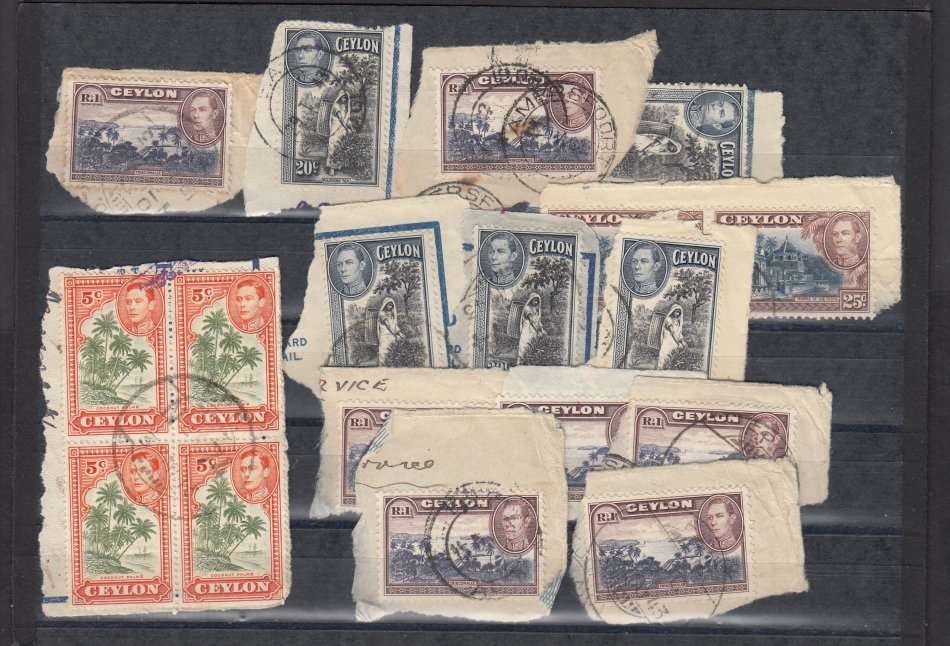 CEYLON-SCARCE KGVI WAR TIME ISSUES ALL ON PIECE USED IN S.A. AMERSFOORT  !!!!!!!!!!!!!!