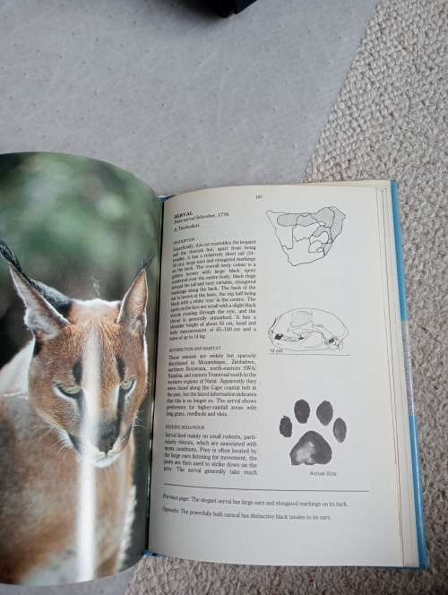 SCARCE AFRICANA-PREDATORS OF SOUTHERN AFRICA SIGNED BY ALL 3 CONTRIBUTORS !!!