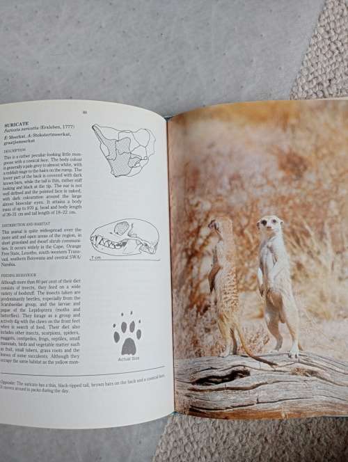 SCARCE AFRICANA-PREDATORS OF SOUTHERN AFRICA SIGNED BY ALL 3 CONTRIBUTORS !!!