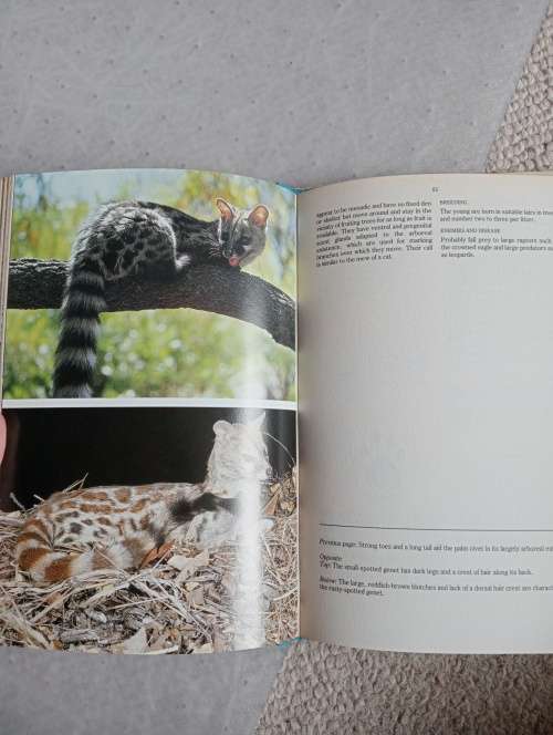 SCARCE AFRICANA-PREDATORS OF SOUTHERN AFRICA SIGNED BY ALL 3 CONTRIBUTORS !!!