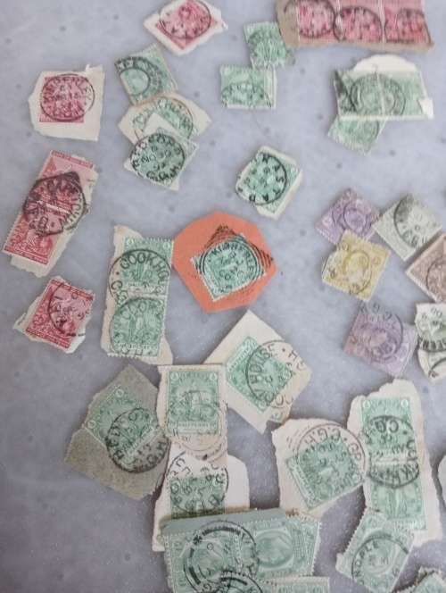 COGH-A STUNNING LOT FOR TOWN HUNTERS-MOST A CLEAR ON PIECE