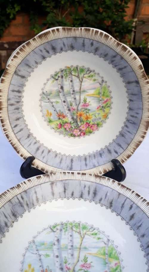 2 x Royal Albert dessert bowls