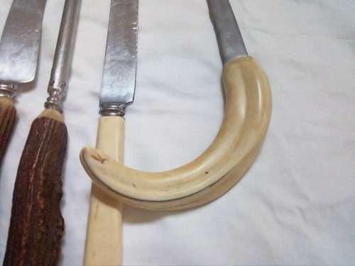 2 knifes, a sharpener and a letter opener,   horn and warthog tusk