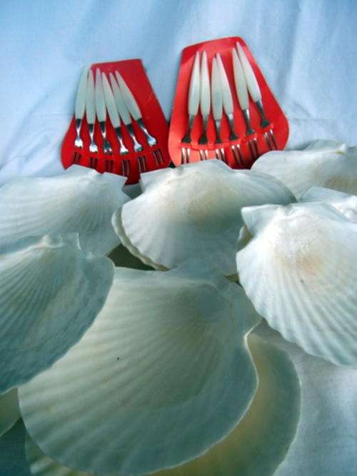 TWELVE CLAM SHELLS WITH TWELVE FAIRY FORKS