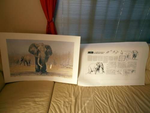 LISTING FOR ELMAR1, Joao 300/950, MAGNIFICENT SEVEN by Paul Bosman