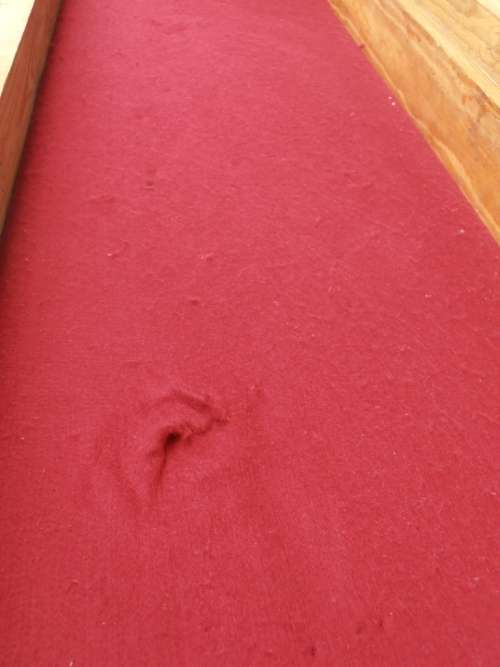 Large wooden display/presentation box with glass, one of two available