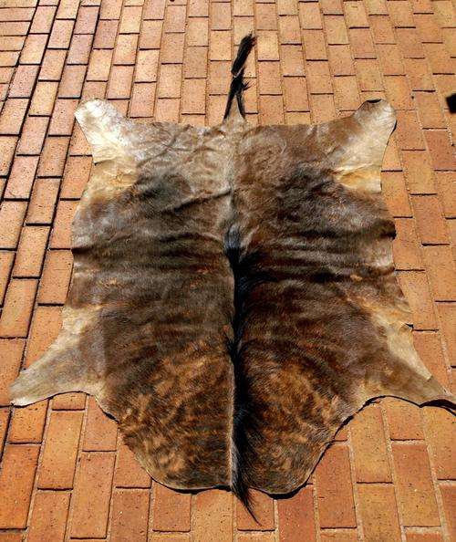 Wildebeest skin, Gnu hide! WENDYHOUSE-MANIA!