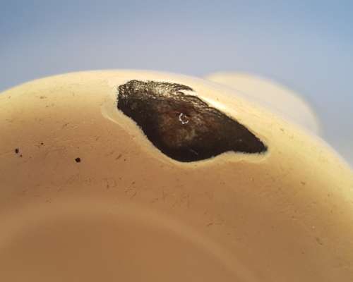 Kockum 1ltr enamel jug