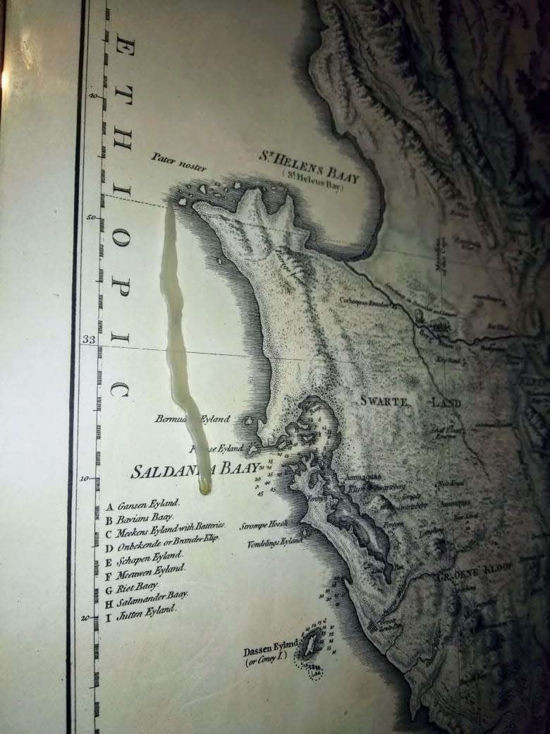 Antique Map of The Dutch Colony of the Cape of Good Hope 1795