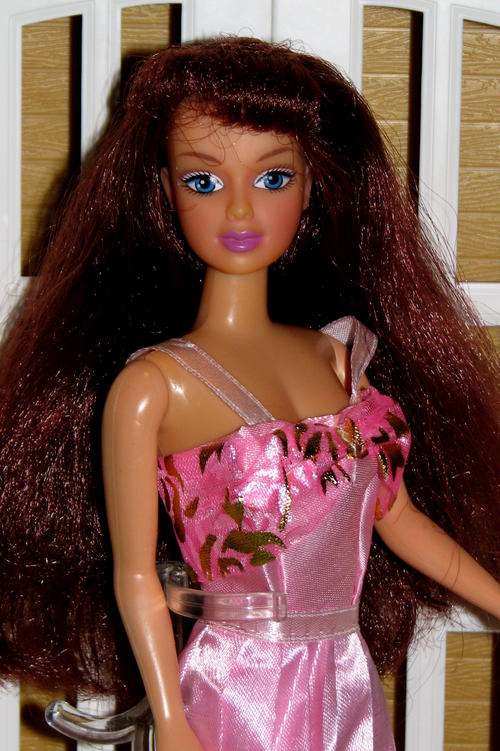 Fashion Doll (Barbie-sized)