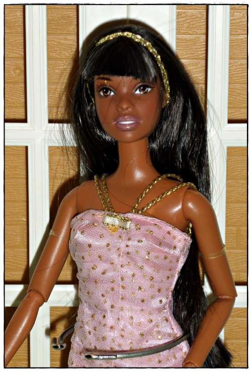 Fashionista Christie doll (Barbie's friend) made by Mattel