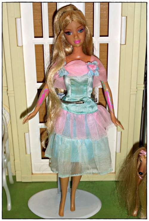 **BARBIE MOVIE MANIA!** DAMAGED Fairytopia Princess Elina doll made by Mattel