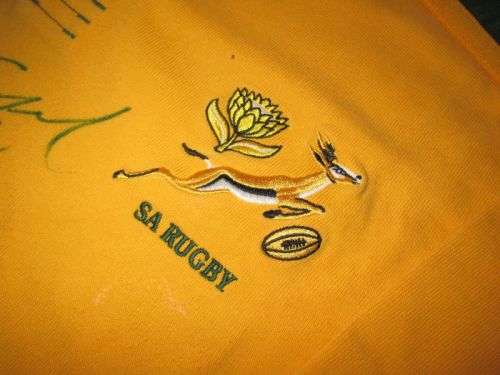 Springbok Practice Jersey