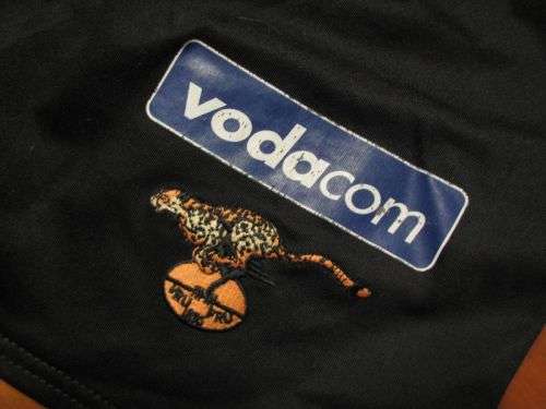 Cheetahs Rugby Shorts