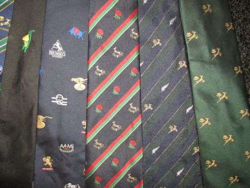 10 x Rugby Ties - Springbok