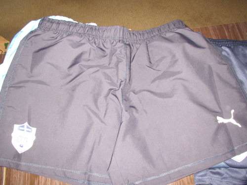 Bulls Rugby Shorts 2019