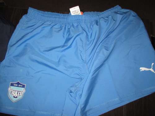 Bulls Rugby Shorts 2019