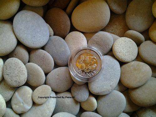 ** 2011 SARB 90th Anniversary R5 Coin - UNC - Capsulated **