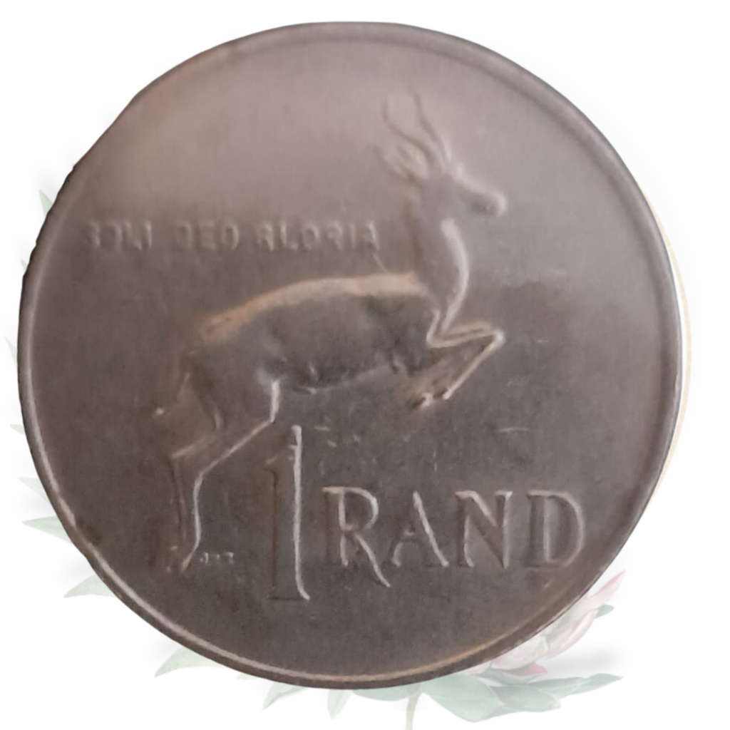 R1 - One Rand 1988, Coin from South Africa