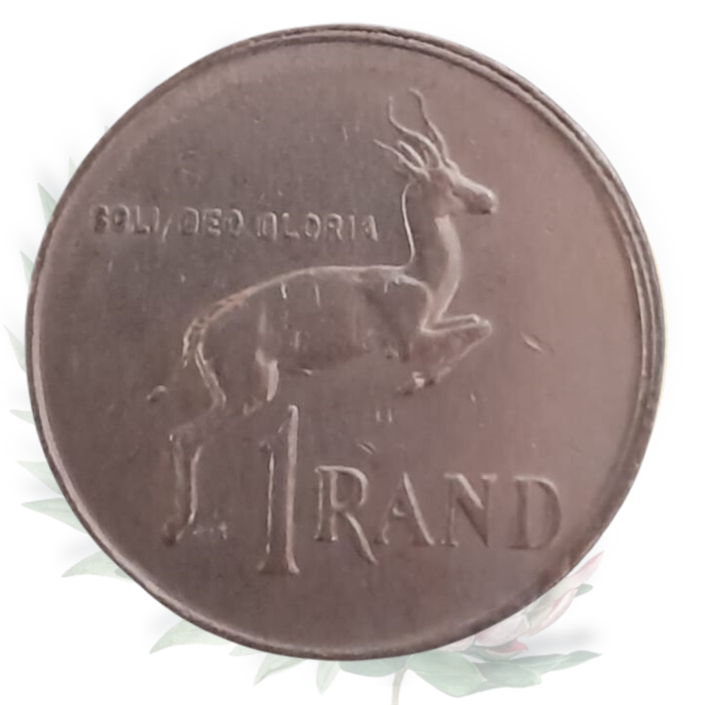 R1 - One Rand 1988, Coin from South Africa