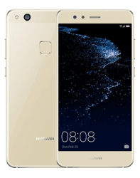 HUAWEI P10 LITE with Box - Platinum Gold - with Charger, Tempered glass and pouch