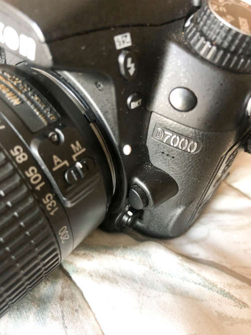 Nikon D7000 with 55-200mm lens (Pro digital camera)