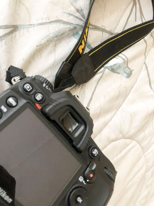 Nikon D7000 with 55-200mm lens (Pro digital camera)