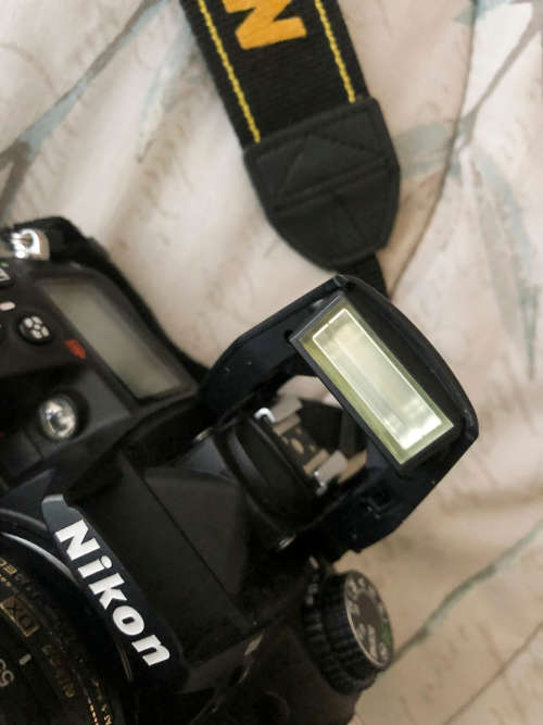 Nikon D7000 with 55-200mm lens (Pro digital camera)