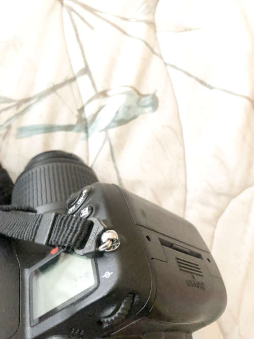 Nikon D7000 with 55-200mm lens (Pro digital camera)