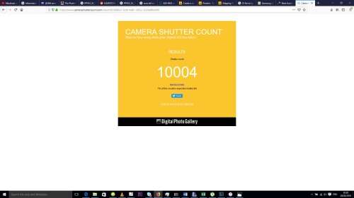 Nikon D7000 with 55-200mm lens (Pro digital camera)