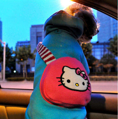 Fashionable Dog Cloth Fleece Hoodie for Small to Medium Dogs