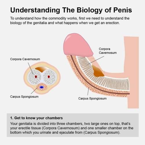 Male Penis Vacuum Pump Air Enlarger Extender Prolong Enhancer with two rings
