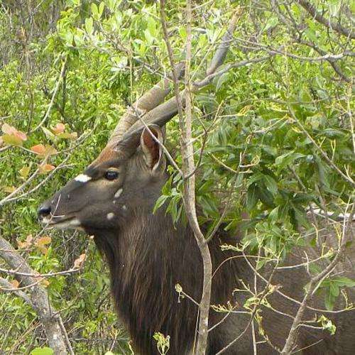 Weekend for 6 persons at 3 Diamond Adventures