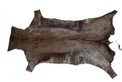 TANNED SPRINGBOK HIDE,NATURAL BLACK NOT COLOURED !!!