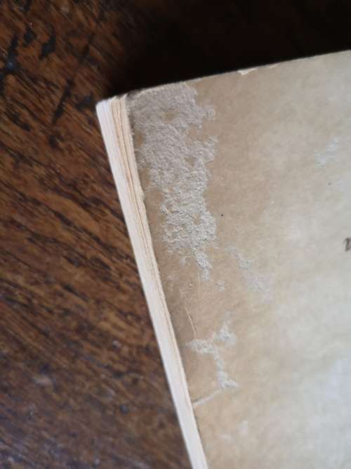 Chronik von Deutsch-Sudwestafrika, 1883-1915