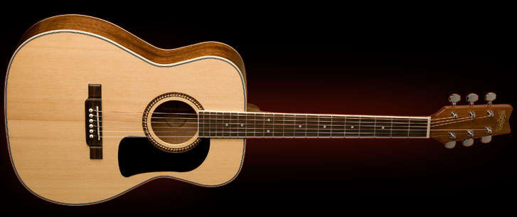 Washburn D10 Series Folk Style Acoustic Guitar with Hard Case