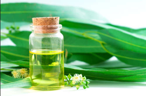 Namo Magnesium Mustard Bath Salts