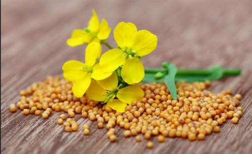 Namo Magnesium Mustard Bath Salts