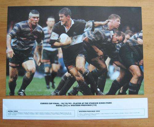 Gloss photo - 1995 CURRIE CUP FINAL - Natal vs Western Province at Kings Park in Durban