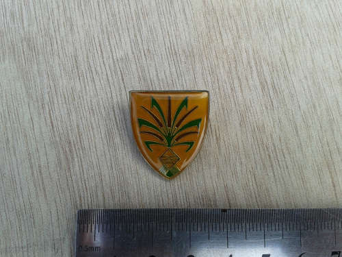 SWATF 34 Battalion pocket flash 1980s Border war, Original