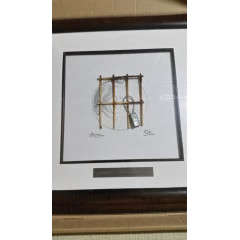 Mandela Robben Island Fence