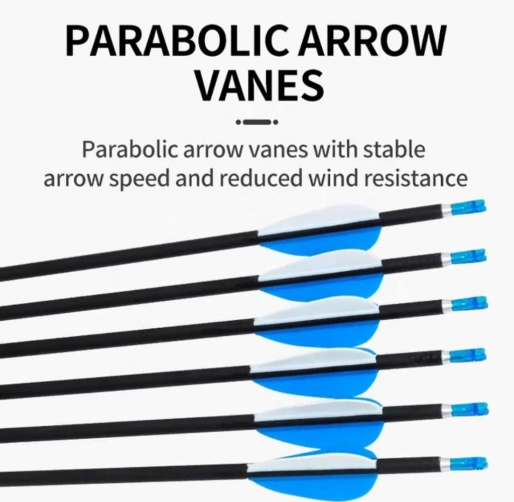 20 PACK CARBON COMPETITON ARROWS